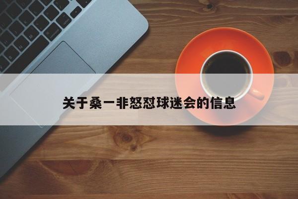 关于桑一非怒怼球迷会的信息