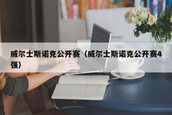 威尔士斯诺克公开赛（威尔士斯诺克公开赛4强）