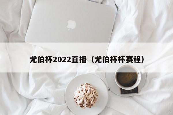 尤伯杯2022直播（尤伯杯杯赛程）