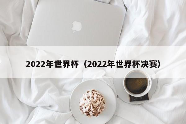 2022年世界杯（2022年世界杯决赛）