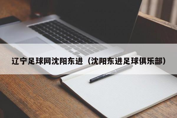 辽宁足球网沈阳东进（沈阳东进足球俱乐部）